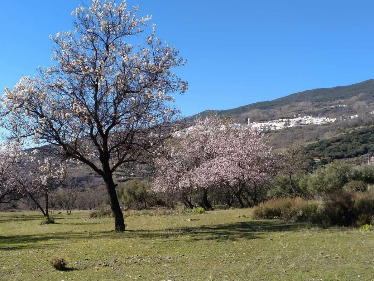 Villa Castaño Real Atalbeitar Exterior foto